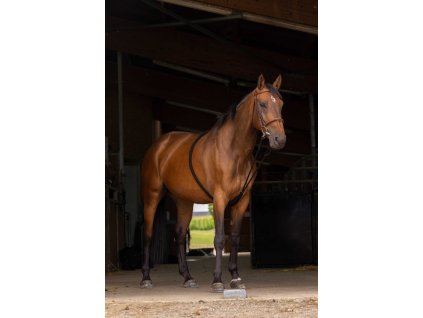 306424002 ambi 1 web