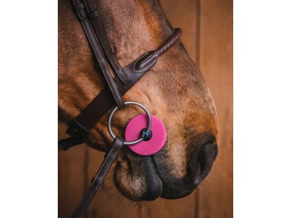 195 0afcc6ea4f bgpink horse