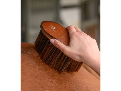 Waldhausen Anti-Dust Brush HardWood – drevená kefa