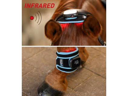 Waldhausen Health + Care Infrared FlexPad