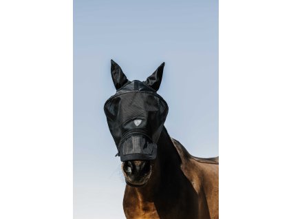 306037203 ambi 1 web