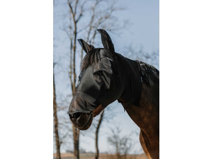 306034203 ambi 1 web