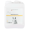 Intensive Insect Protection repelent pre kone – 2500 ml