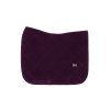 VELVET DRESSAGE 1 AME