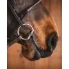 1179 43d4e5d4b7 sweet iron fixed rings946794759478