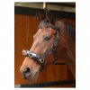 Ohlávka pre tréning koňa CAVESSON Nylonová - Čierna