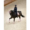 pink crystal dressage saddle pad1 3165e307 b0e2 4bef a166 9bb4fd785315