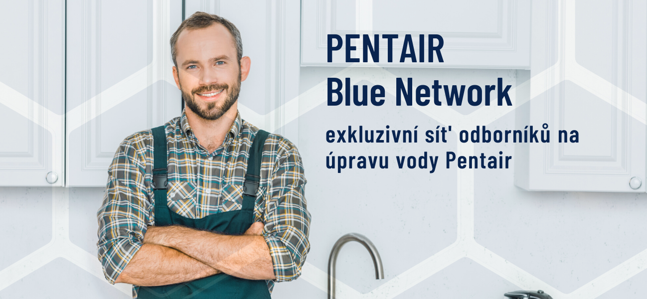 Pentair Blue Network