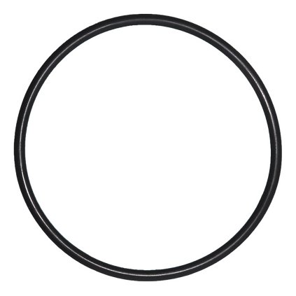 o-ring