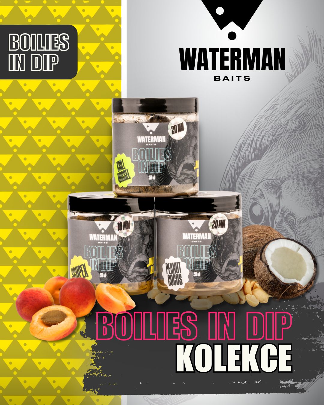TOP1 - Boilies in DIP první strana