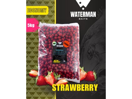 Krmné boilies na kapry Waterman baits jahoda
