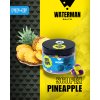 POPUP SCOPEX PINEAPPLE