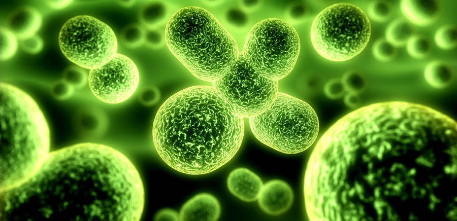 Odstranění bakterií a dezinfekce vody