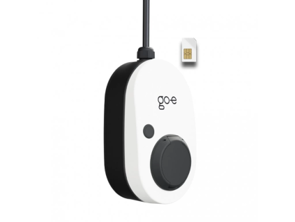 gemini 2.0 SIM