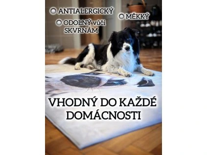 3D Koberec Žluté Růže