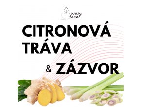 Citronová tráva & Zázvor