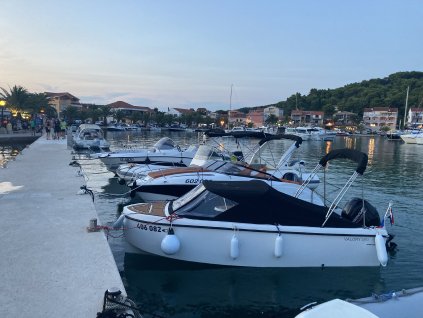 Valory 490 Premium r.v.2022 + Mercury F 50 ELPT EFI + Temared Boat 1000