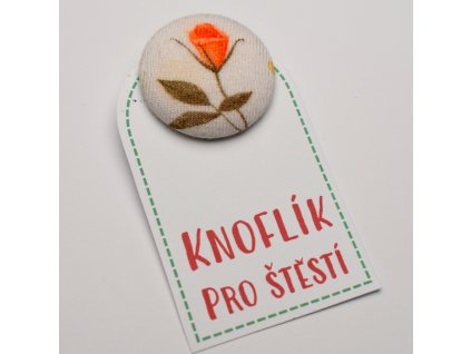 Knoflík pro štěstí