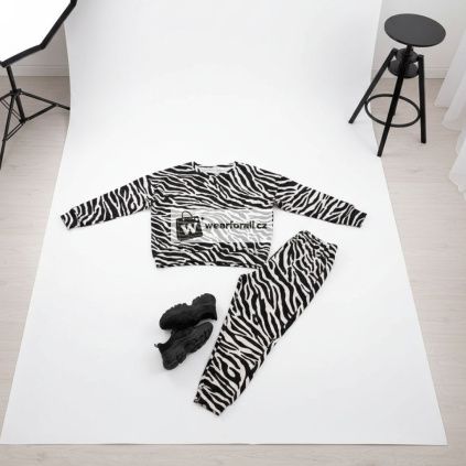zebra2