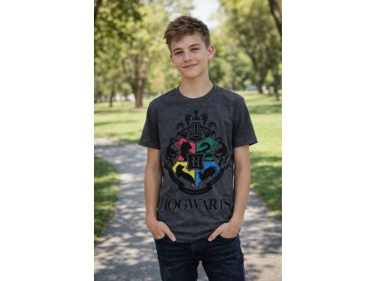 Tričko HARRY POTTER krátký rukáv