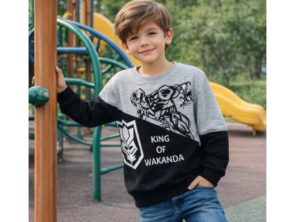 08a30139 6d47 47e6 83fc 479a3cd49693