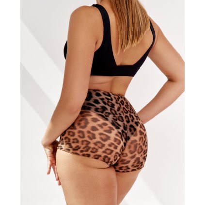 Návrh bez názvu (22)