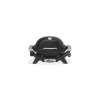 Weber Q 1100N