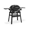 Weber Q 2200N Stand