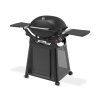 Weber Q 3200N+ Premium Stand