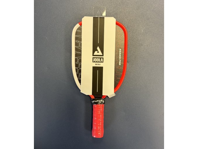 JOOLA Pro IV Mini Paddle Agassi