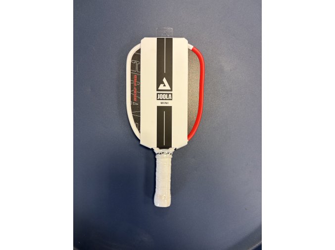 JOOLA Pro IV Mini Paddle Graf