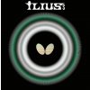 Butterfly Ilius s