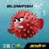 112264 Blowfish Packshot low