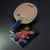 Butterfly Timo Boll 30th Anniversary 08