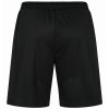 donic shorts beam black rear cmyk