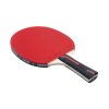 Butterfly OVTCHAROV STRIKER 02