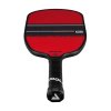 AgassiPaddlesWBG 300665AgassiChampionSS2512mm 06 3000x[1]