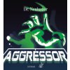 aggressor