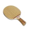 Donic Waldner Dotec Carbon