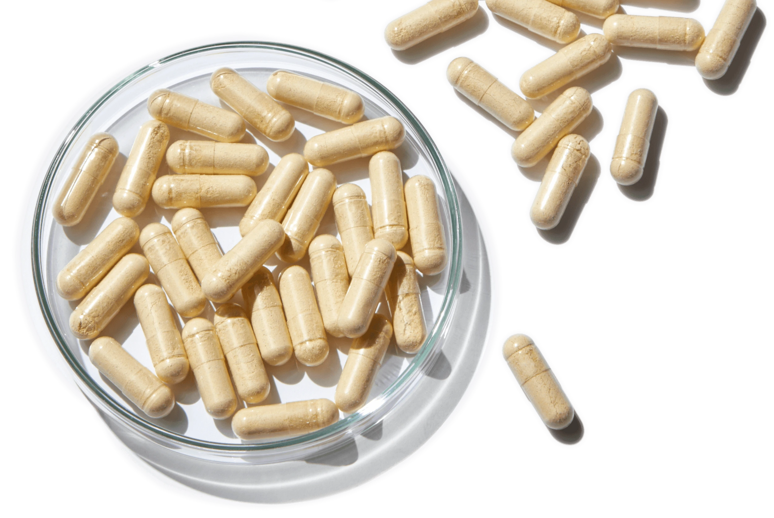 Ready to start your daily routine with WeCare?