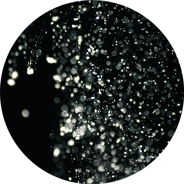 L-tyrosin