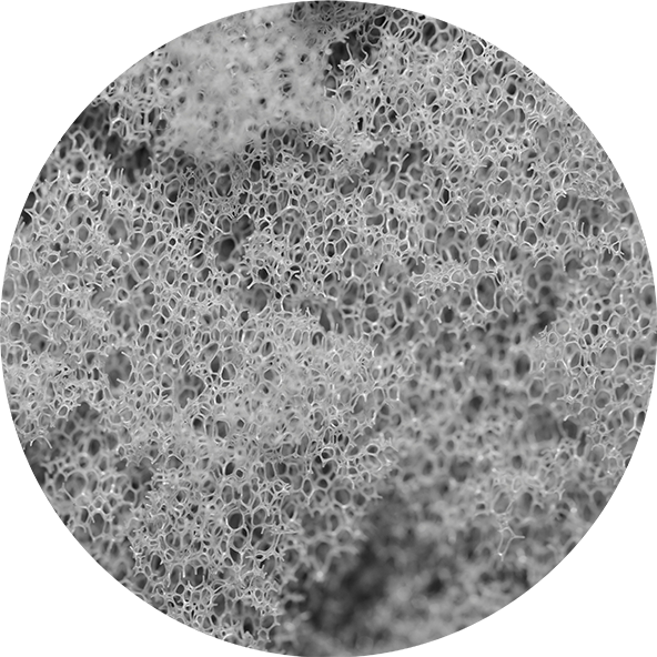 Kolagen-Collavant-N2
