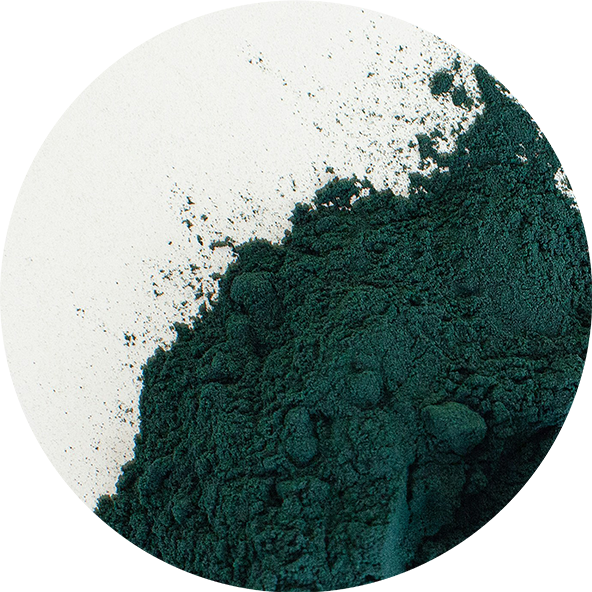 Spirulina
