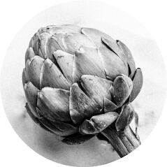 artichoke
