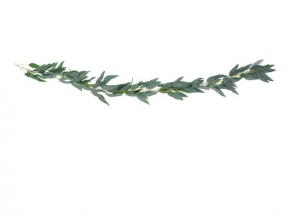 Dekorační girlanda “Vrbové listy”, 2 m