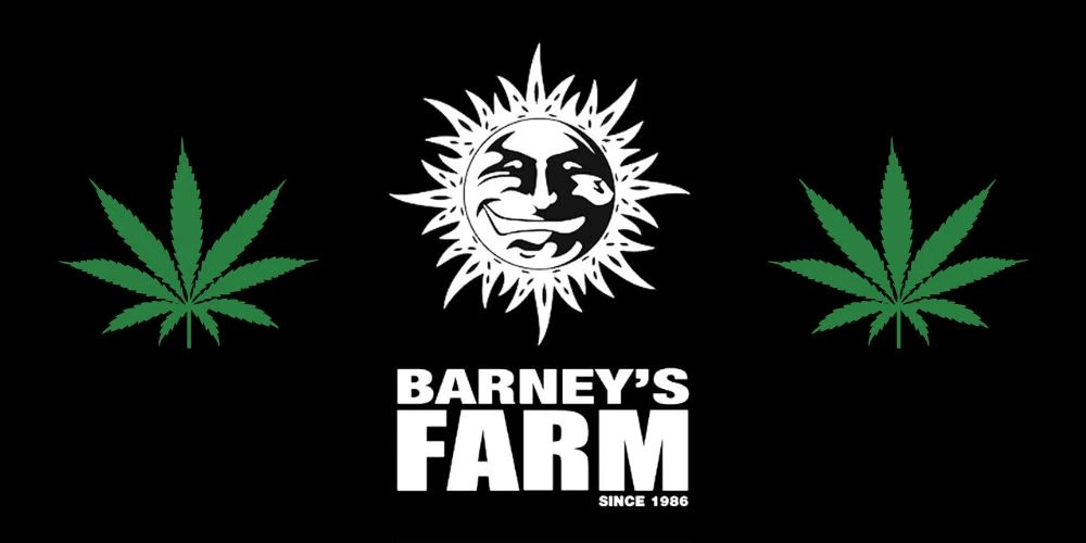Barney’s Farm – legendární seedbanka s oceněnými genetikami