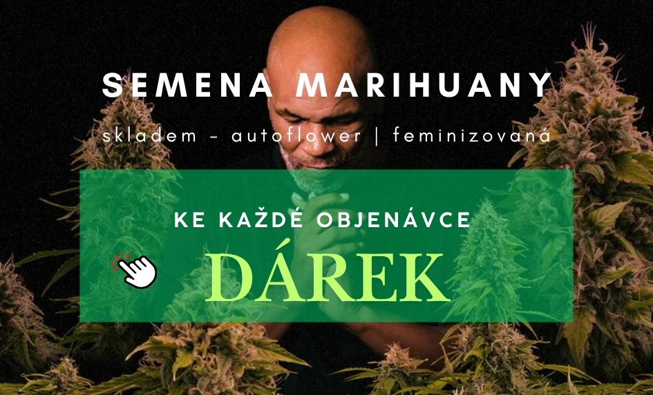 Dárek ke každé objednávce