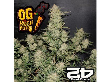 Original OG Kush Auto Fast Buds