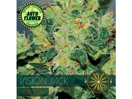 Vision Jack Auto VS 1