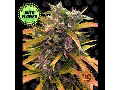 Gorilla Glue Auto BF 1